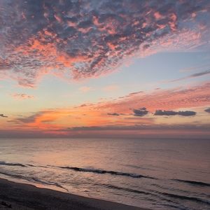 Meet your Posher, Eleanor